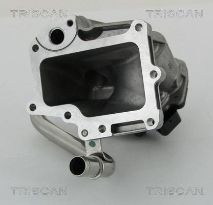 Triscan 8813 15206 - Клапан повернення ОГ autocars.com.ua