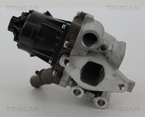 Triscan 8813 15207 - Клапан повернення ОГ autocars.com.ua