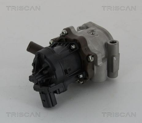 Triscan 8813 15208 - Клапан повернення ОГ autocars.com.ua