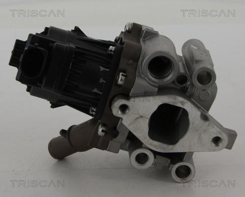 Triscan 8813 15208 - Клапан повернення ОГ autocars.com.ua