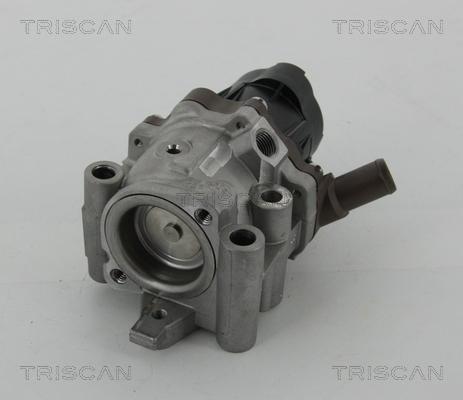 Triscan 8813 15208 - Клапан повернення ОГ autocars.com.ua