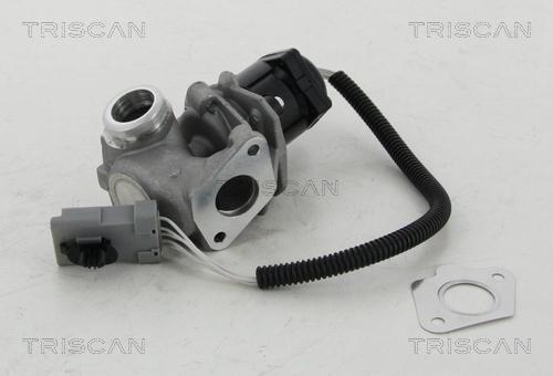Triscan 8813 16008 - Клапан повернення ОГ autocars.com.ua