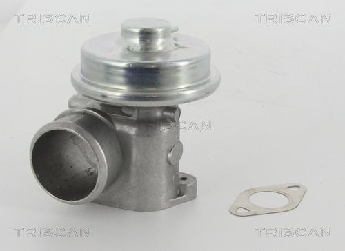 Triscan 8813 16010 - Клапан повернення ОГ autocars.com.ua