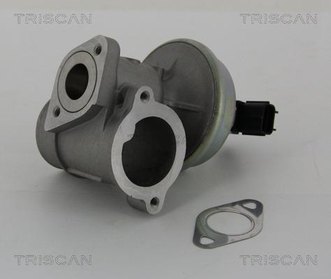 Triscan 8813 16012 - Клапан повернення ОГ autocars.com.ua