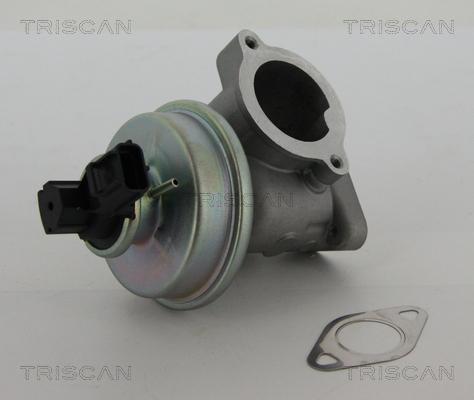 Triscan 8813 16012 - Клапан рецеркуляції відпрацьованих газів autocars.com.ua