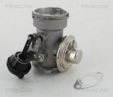 Triscan 8813 16023 - Клапан повернення ОГ autocars.com.ua
