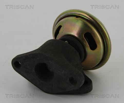 Triscan 8813 16026 - Клапан возврата ОГ avtokuzovplus.com.ua