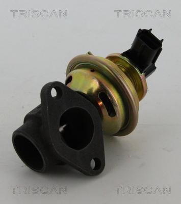 Triscan 8813 16030 - Клапан повернення ОГ autocars.com.ua