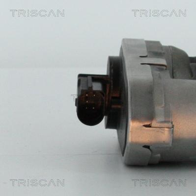 Triscan 8813 16101 - Клапан повернення ОГ autocars.com.ua