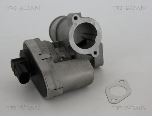 Triscan 8813 16101 - Клапан повернення ОГ autocars.com.ua