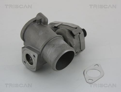 Triscan 881316101 - Клапан повернення ОГ autocars.com.ua
