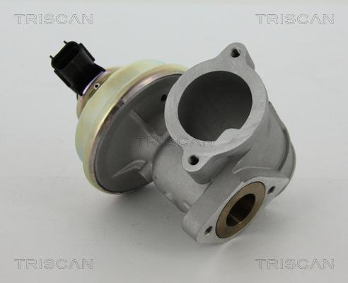 Triscan 8813 16102 - Клапан повернення ОГ autocars.com.ua