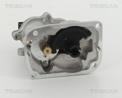 Triscan 8813 16151 - Клапан повернення ОГ autocars.com.ua