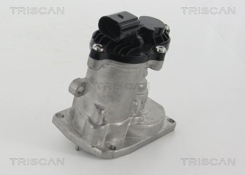 Triscan 8813 16151 - Клапан повернення ОГ autocars.com.ua