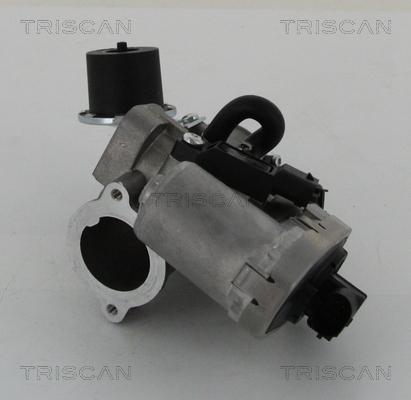 Triscan 8813 16202 - Клапан повернення ОГ autocars.com.ua