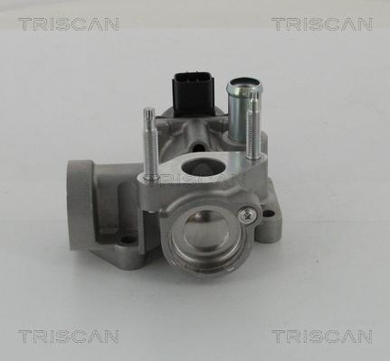 Triscan 8813 16203 - Клапан повернення ОГ autocars.com.ua