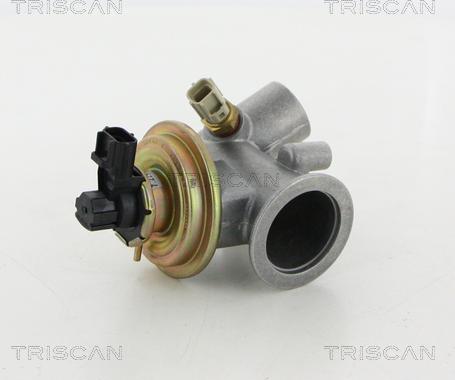 Triscan 8813 16212 - Клапан повернення ОГ autocars.com.ua