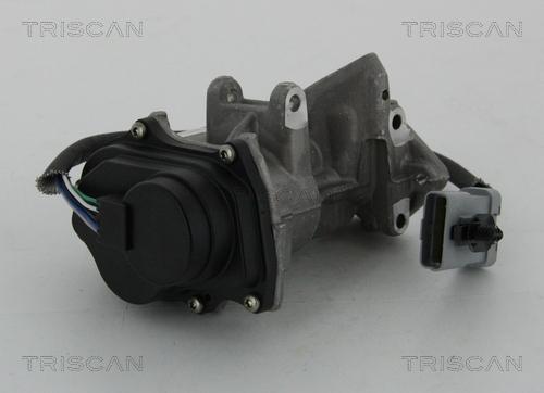 Triscan 8813 17019 - Клапан повернення ОГ autocars.com.ua
