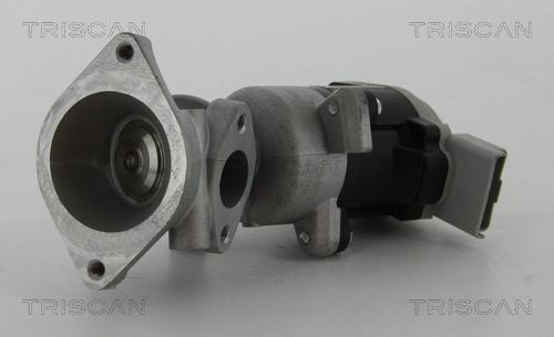 Triscan 8813 17020 - Клапан повернення ОГ autocars.com.ua
