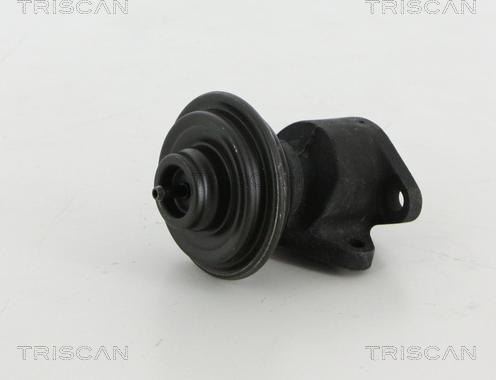 Triscan 8813 18035 - Клапан повернення ОГ autocars.com.ua