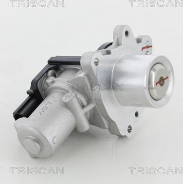 Triscan 8813 18045 - Клапан повернення ОГ autocars.com.ua
