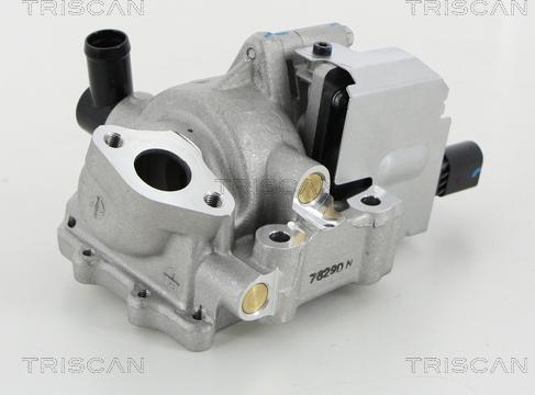 Triscan 8813 18046 - Клапан повернення ОГ autocars.com.ua