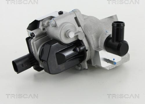 Triscan 8813 18046 - Клапан повернення ОГ autocars.com.ua