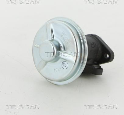 Triscan 8813 21002 - Клапан повернення ОГ autocars.com.ua