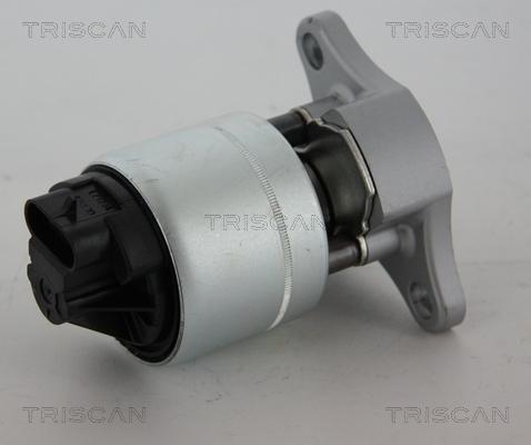 Triscan 8813 21006 - Клапан возврата ОГ autodnr.net