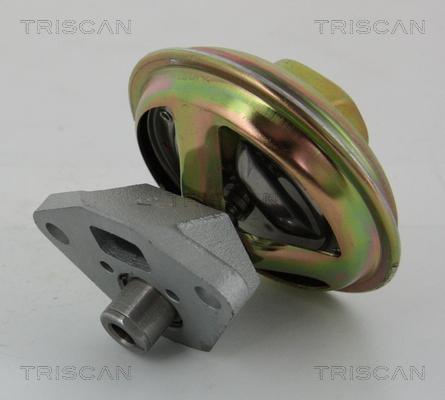 Triscan 8813 21007 - Клапан повернення ОГ autocars.com.ua