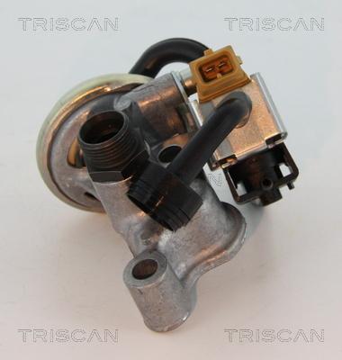 Triscan 8813 23005 - Клапан повернення ОГ autocars.com.ua