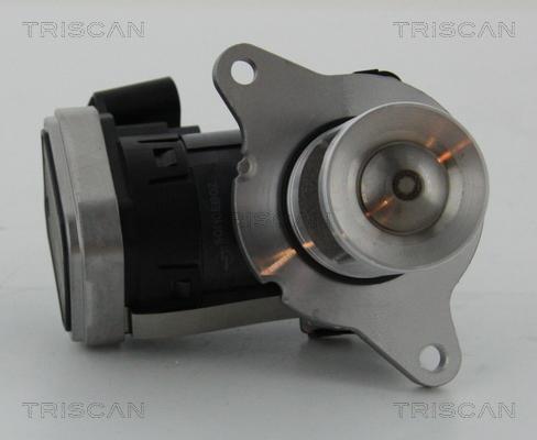 Triscan 8813 23006 - Клапан повернення ОГ autocars.com.ua