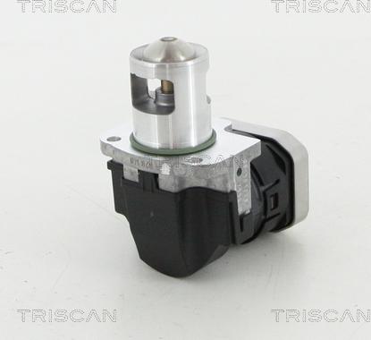 Triscan 8813 23025 - Клапан повернення ОГ autocars.com.ua