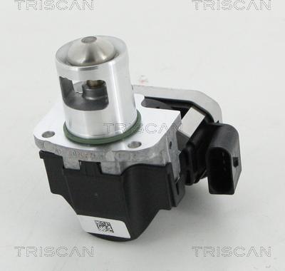 Triscan 8813 23026 - Клапан повернення ОГ autocars.com.ua