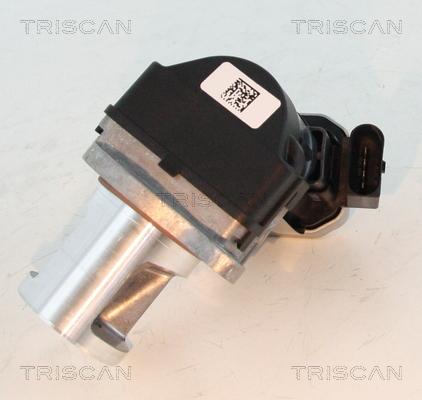 Triscan 8813 23101 - Клапан повернення ОГ autocars.com.ua