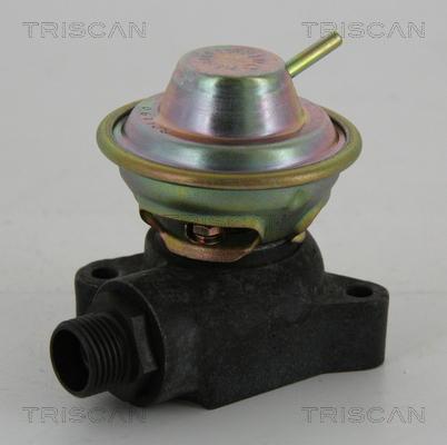 Triscan 8813 23200 - Клапан повернення ОГ autocars.com.ua