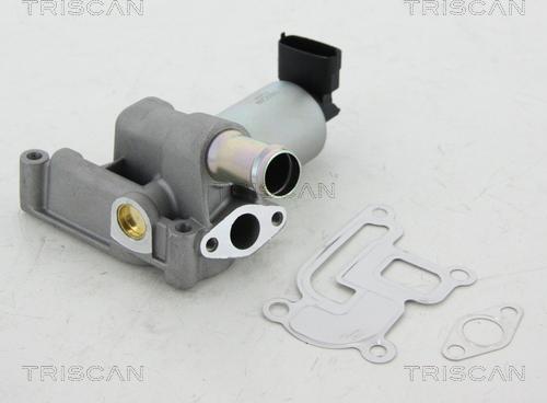 Triscan 8813 24001 - Клапан повернення ОГ autocars.com.ua