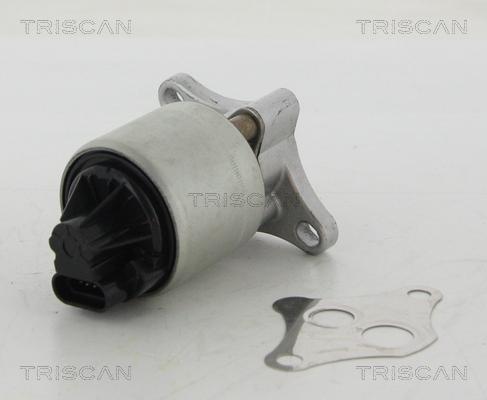 Triscan 8813 24004 - Клапан повернення ОГ autocars.com.ua
