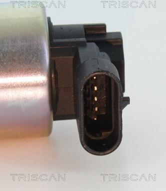 Triscan 8813 24010 - Клапан рецеркуляції відпрацьованих газів autocars.com.ua