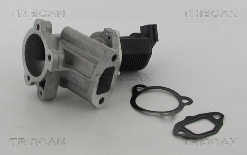 Triscan 8813 24015 - Клапан повернення ОГ autocars.com.ua