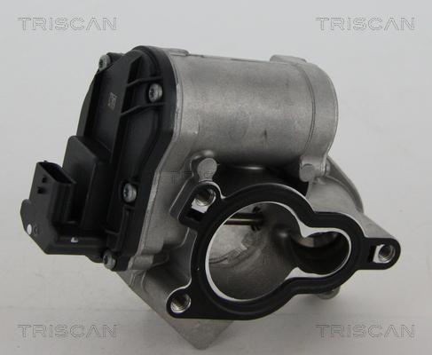 Triscan 8813 24039 - Клапан повернення ОГ autocars.com.ua