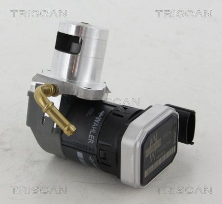 Triscan 8813 24046 - Клапан повернення ОГ autocars.com.ua