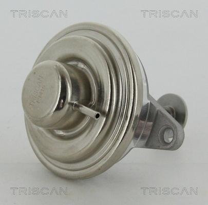 Triscan 8813 24054 - Клапан повернення ОГ autocars.com.ua