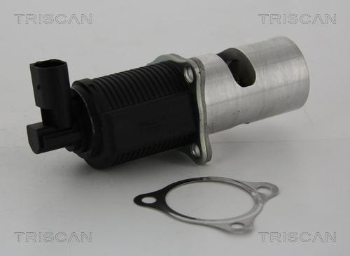 Triscan 8813 24055 - Клапан рецеркуляції відпрацьованих газів autocars.com.ua