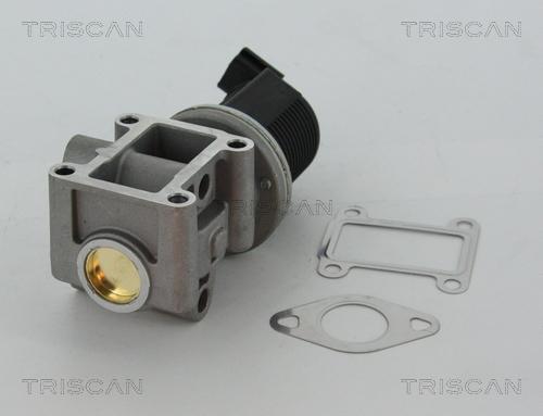 Triscan 8813 24082 - Клапан возврата ОГ autodnr.net