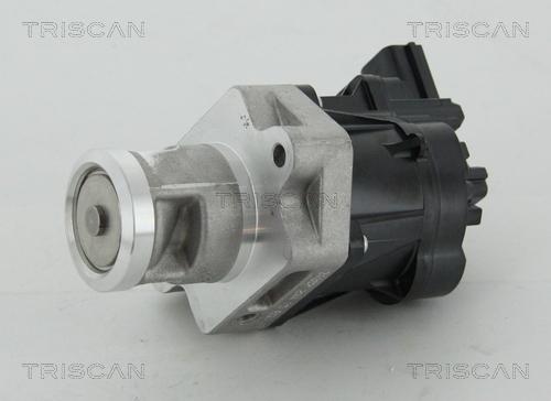 Triscan 8813 24083 - Клапан повернення ОГ autocars.com.ua