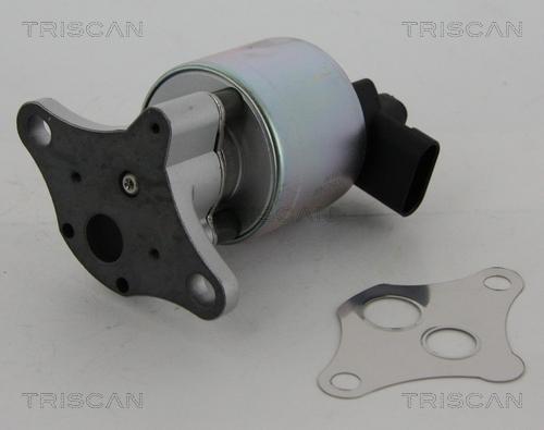 Triscan 8813 24100 - Клапан повернення ОГ autocars.com.ua