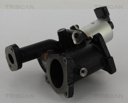 Triscan 8813 24101 - Клапан повернення ОГ autocars.com.ua