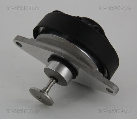 Triscan 8813 24202 - Клапан повернення ОГ autocars.com.ua