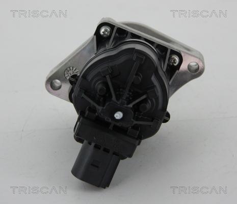 Triscan 8813 24205 - Клапан повернення ОГ autocars.com.ua
